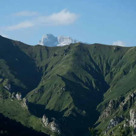 La Terrentosa